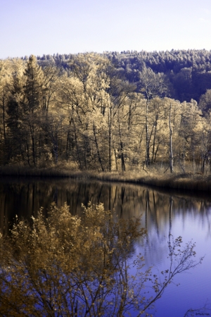 Lake reflections