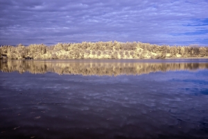 Lake reflections