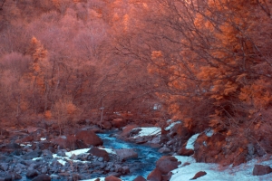 River landscape