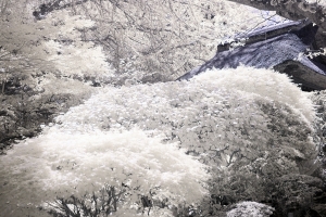 Japanese Temple