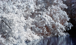 Infrared river