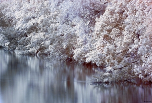 Infrared river