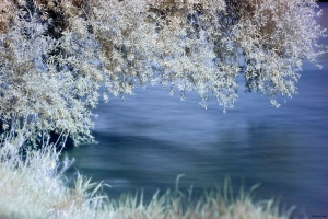 Infrared river