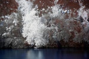 Infrared river