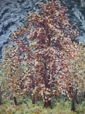 Maple tree, oil on canvas