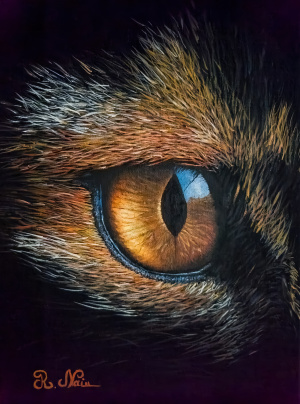 Eye-of-the-fox