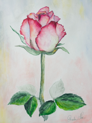 Opening Rose, water color on cotton paper