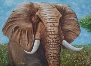 Elephant, oil on canvas