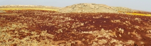 Dallol