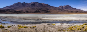 Altiplano, Bolivia