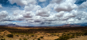 Altiplano, Bolivia