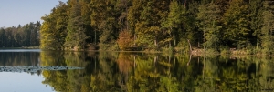 Lake reflections