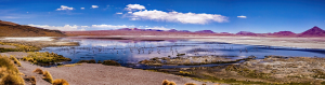Laguna Colorada, Altiplano, Bolivia