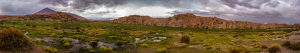 Bofedales, Quetena, Bolivia