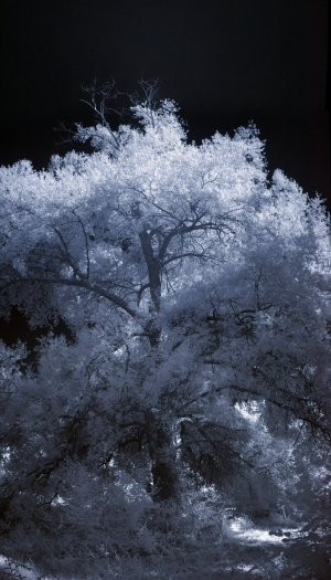 Lights