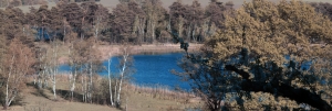 Infrared lake