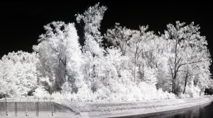 Riverside infrared