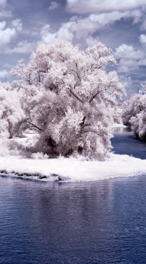 Aare in Villnachern