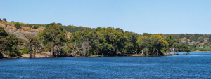 Chobe National Park, Botswana