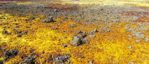 Dallol