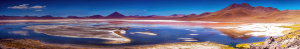 Laguna Colorada, Altiplano, Bolivia