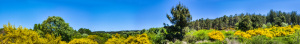 Braga region, Portugal
