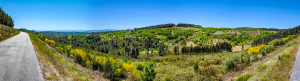 Braga region, Portugal