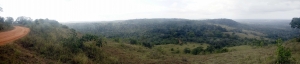 Shimba hills