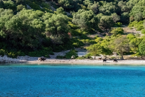 Greece