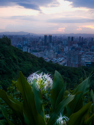 Taipei by night from xiang shan