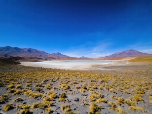 Altiplano, Bolivia