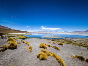 Laguna Colorada, Bolivia