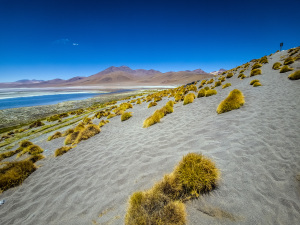 Laguna Colorada, Bolivia