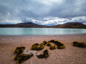 Laguna Celeste, Altiplano, Bolivia