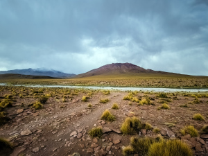 Altiplano, Bolivia