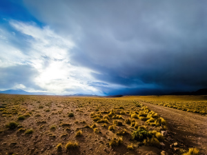 Altiplano, Bolivia