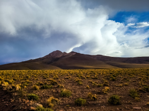 Altiplano, Bolivia