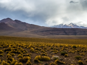 Altiplano, Bolivia