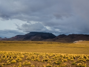 Altiplano, Bolivia