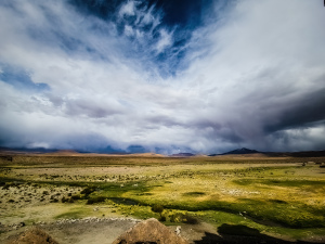 Altiplano, Bolivia