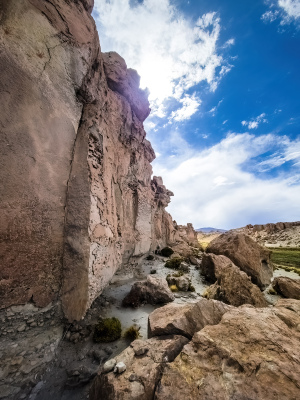 Altiplano, Bolivia