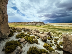 Altiplano, Bolivia