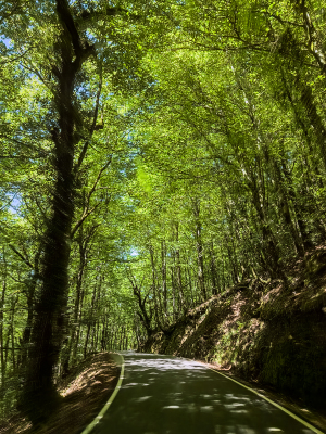 National parc Peneda-Gerês, Portugal