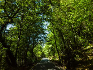 National parc Peneda-Gerês, Portugal