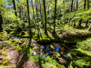 National parc Peneda-Gerês, Portugal