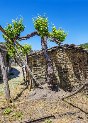 National parc Peneda-Gerês, Portugal