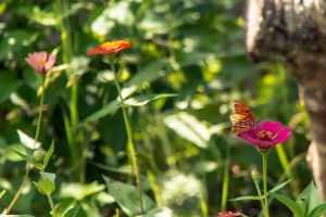 DSC00499-gigapixel-high-compression-2x