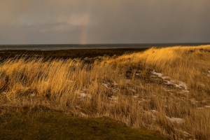 Sandgerdi, Iceland