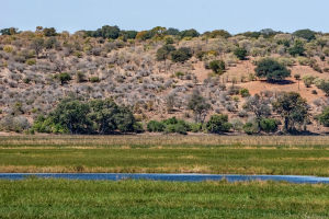 Chobe National Park, Botswana
