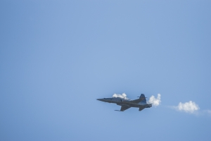 Swiss Army Flight Show